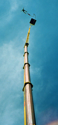 Bungy